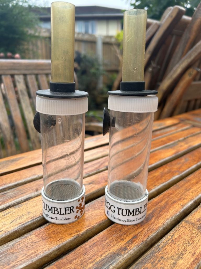 Pair of Egg Tumblers