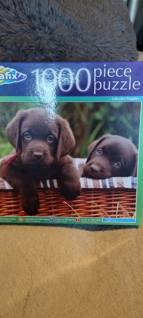 New puppies jigsaw