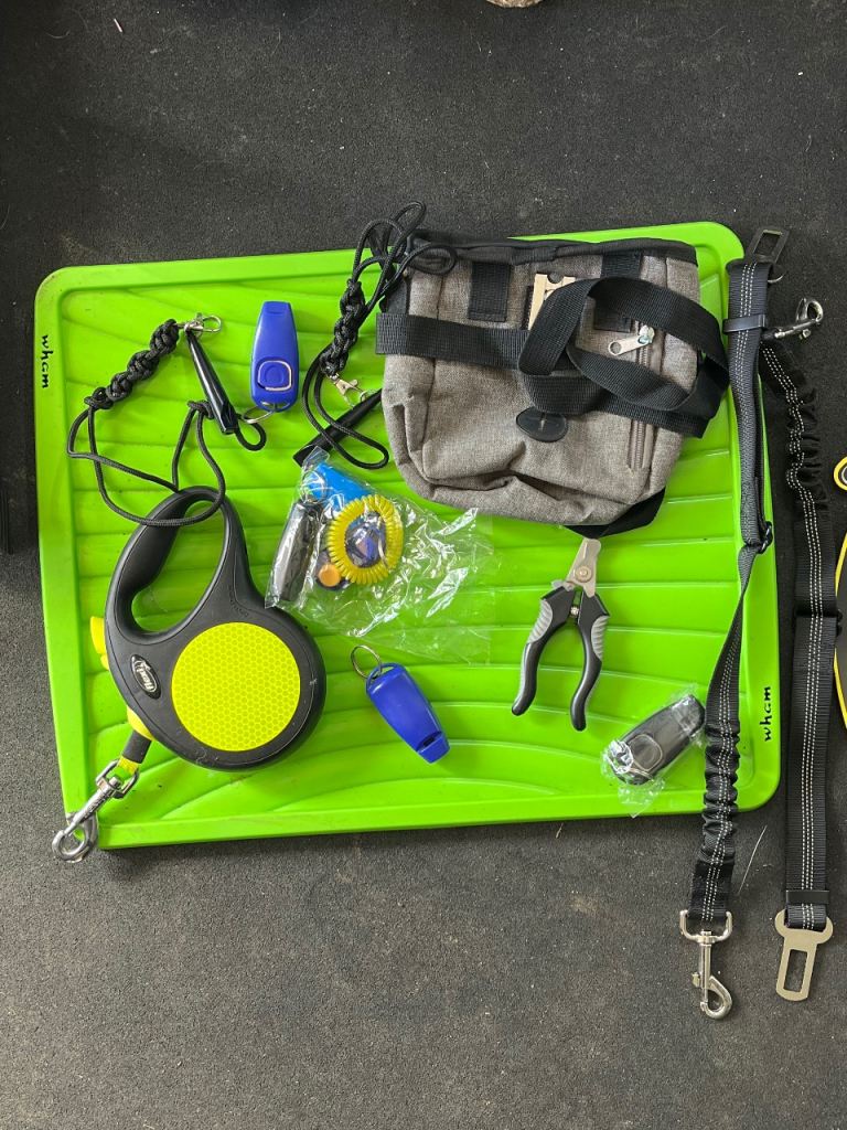 Surplus dog accessories