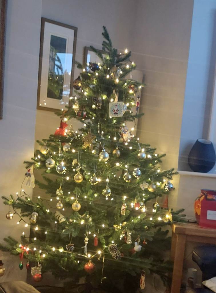 6' Ultra Mountain Pine Christmas Tree