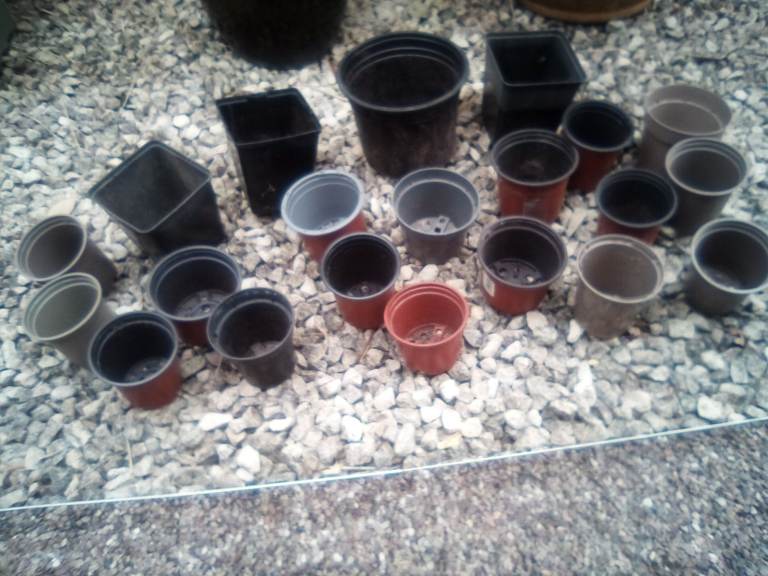 Bundle of assorted size plastic garden greenhouse plant pots - £3 the lot.