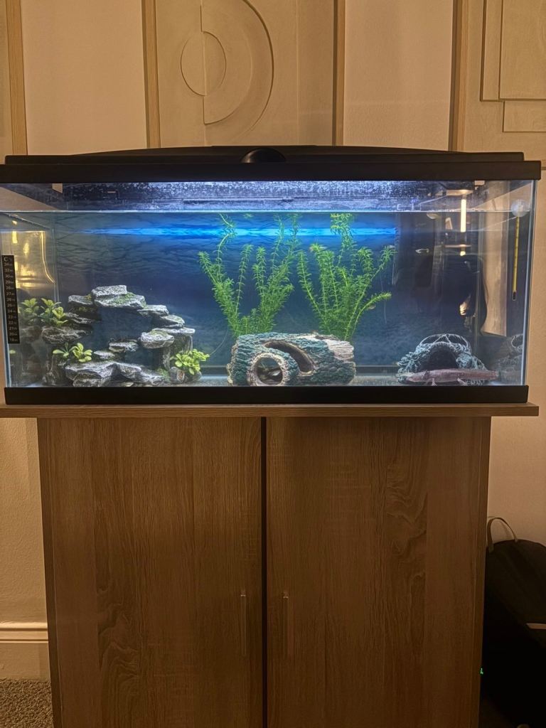 Fish tank and stand 
