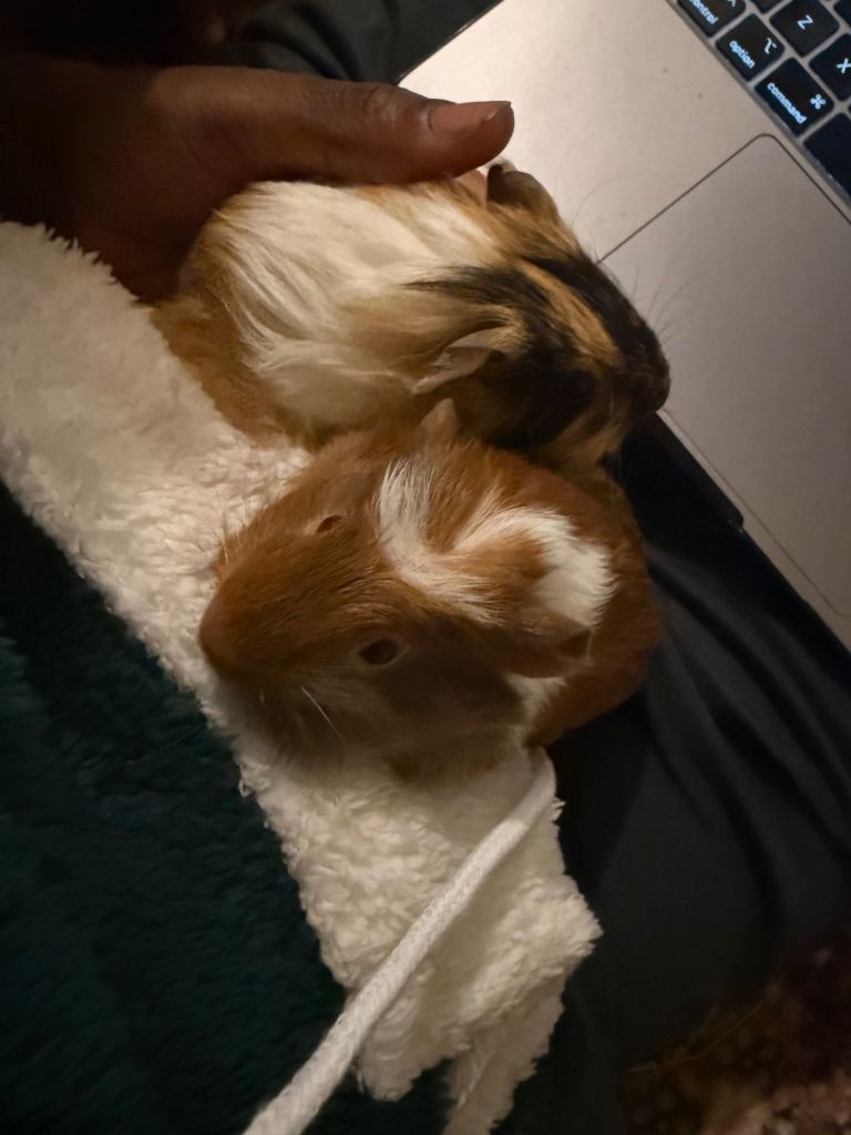 Pete & Paul