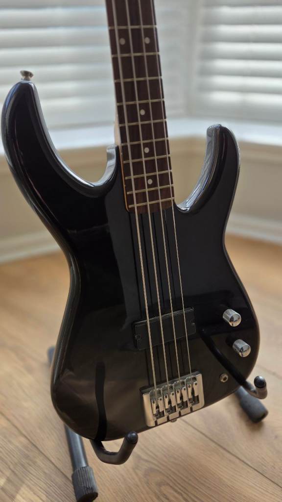 Fleabass ‘Wild One’ bass (Black)