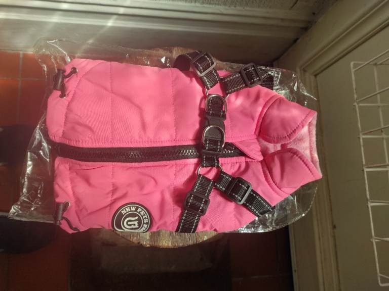 Small size dogs jacket with black trimmings