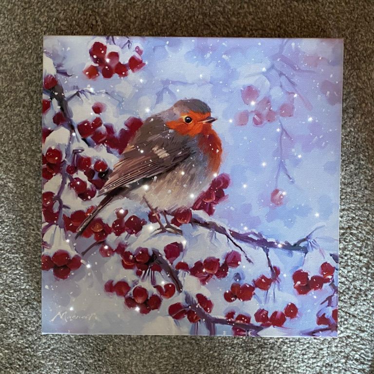 Light Up Winter Robin Canvas