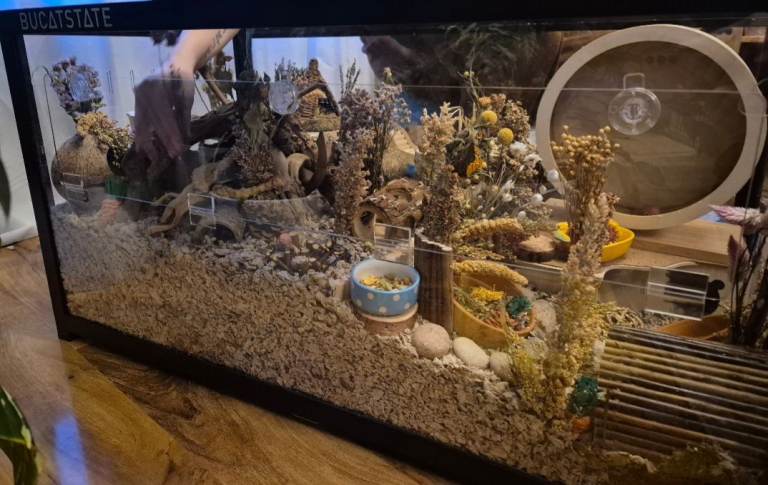 Bucatstate Hamster cage 3.0