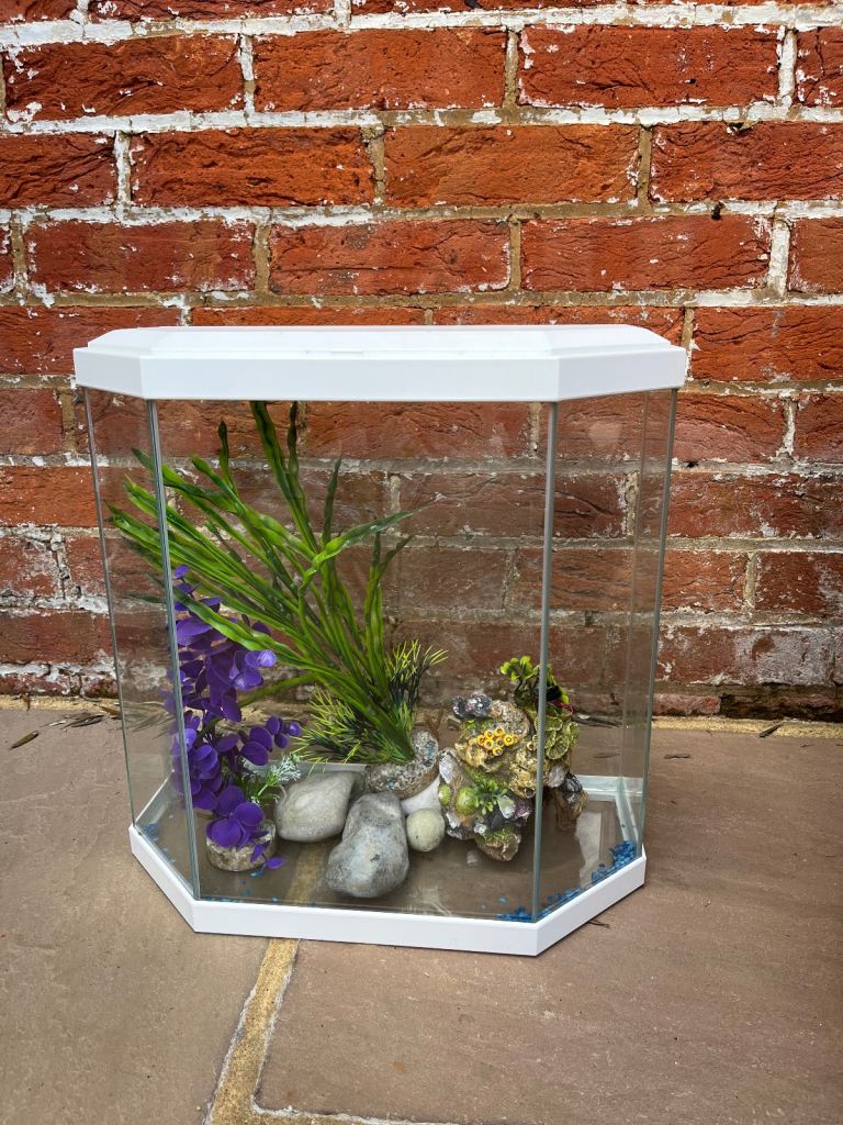 Full aquarium set up