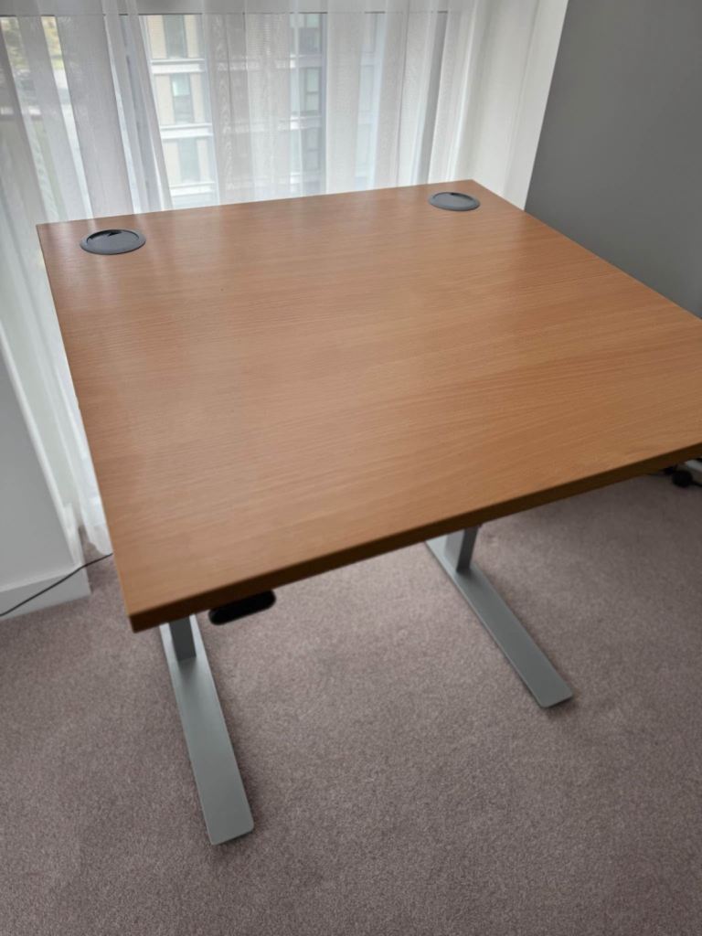 Electric stand up desk