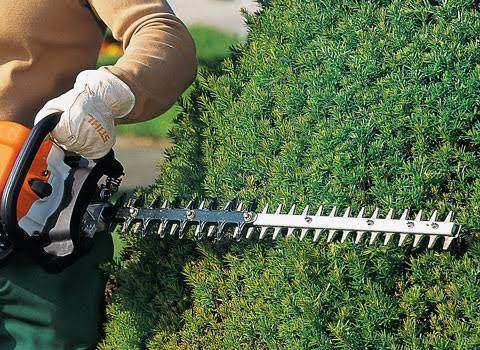 Garden Hedge Trimming Service