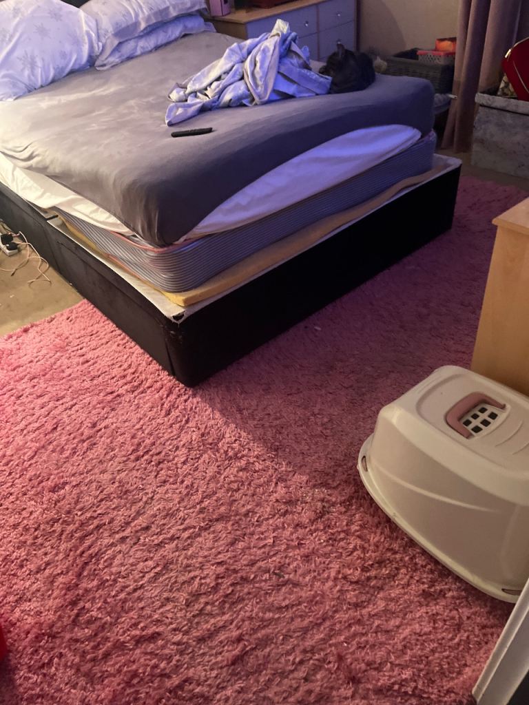 Free extra large pink furry rug