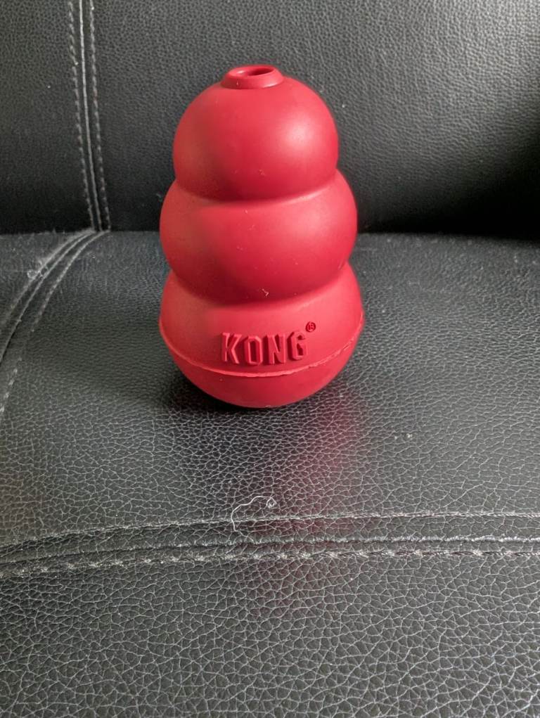 Kong treat chew