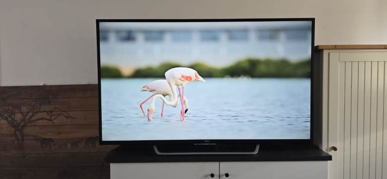 55 inch Sony 4k UHD Smart TV 