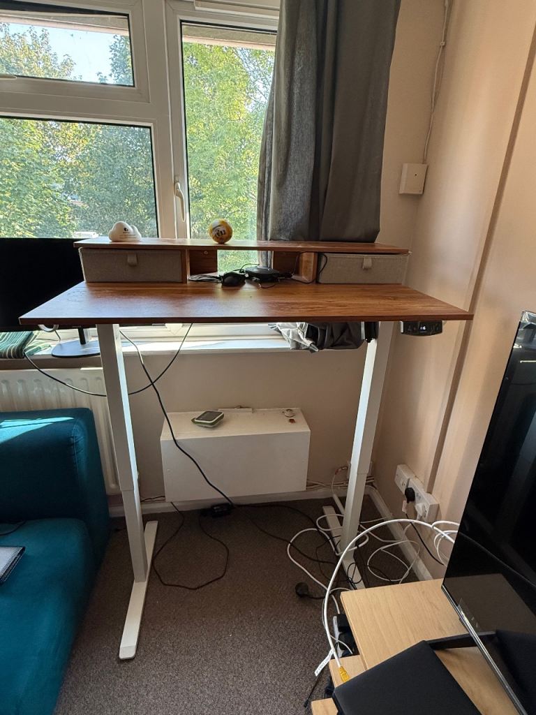 Agilestic Electric Standing Desk with Wooden Top-As good as new