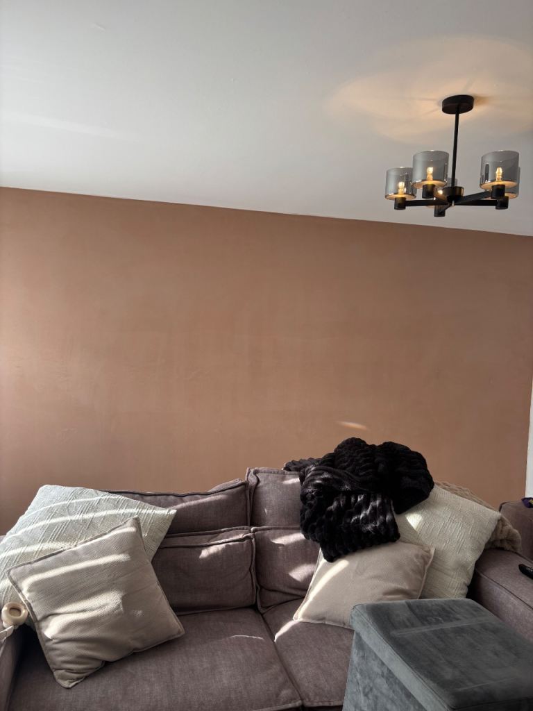 Plasterer & Roughcaster skimCoat artex removal all work undertaken