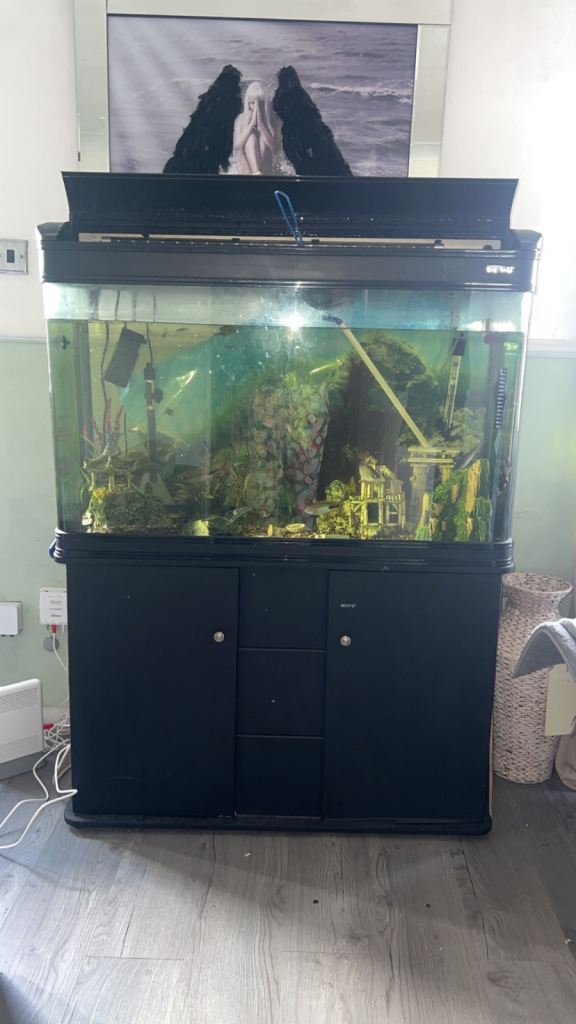 Fish tank with fish and loads of accessories 