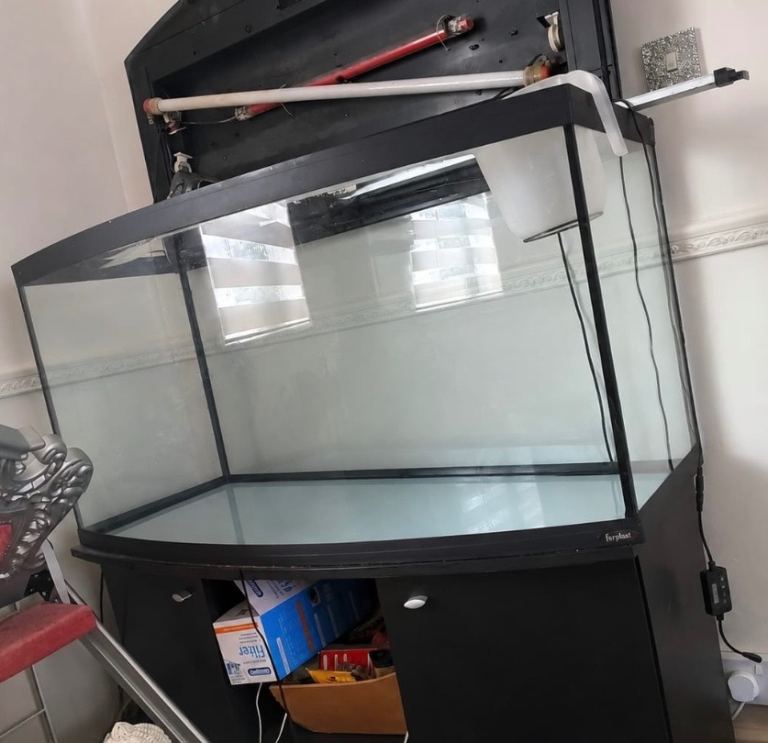 Huge fish tank set up 