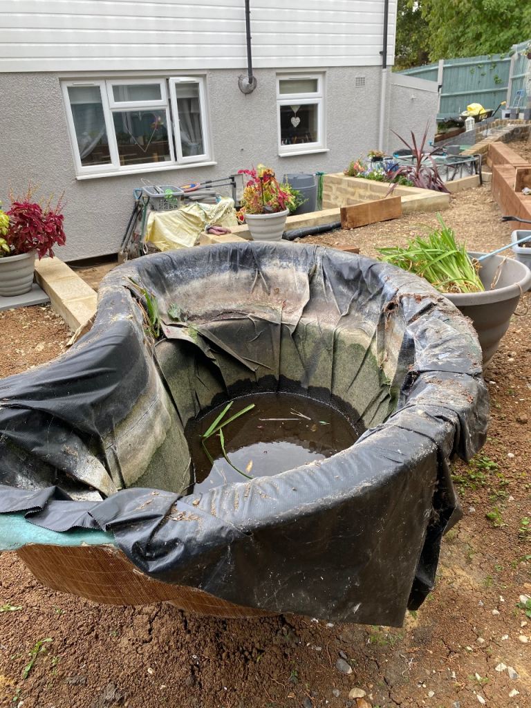 Fish pond