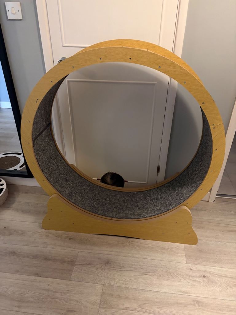 Cat wheel 