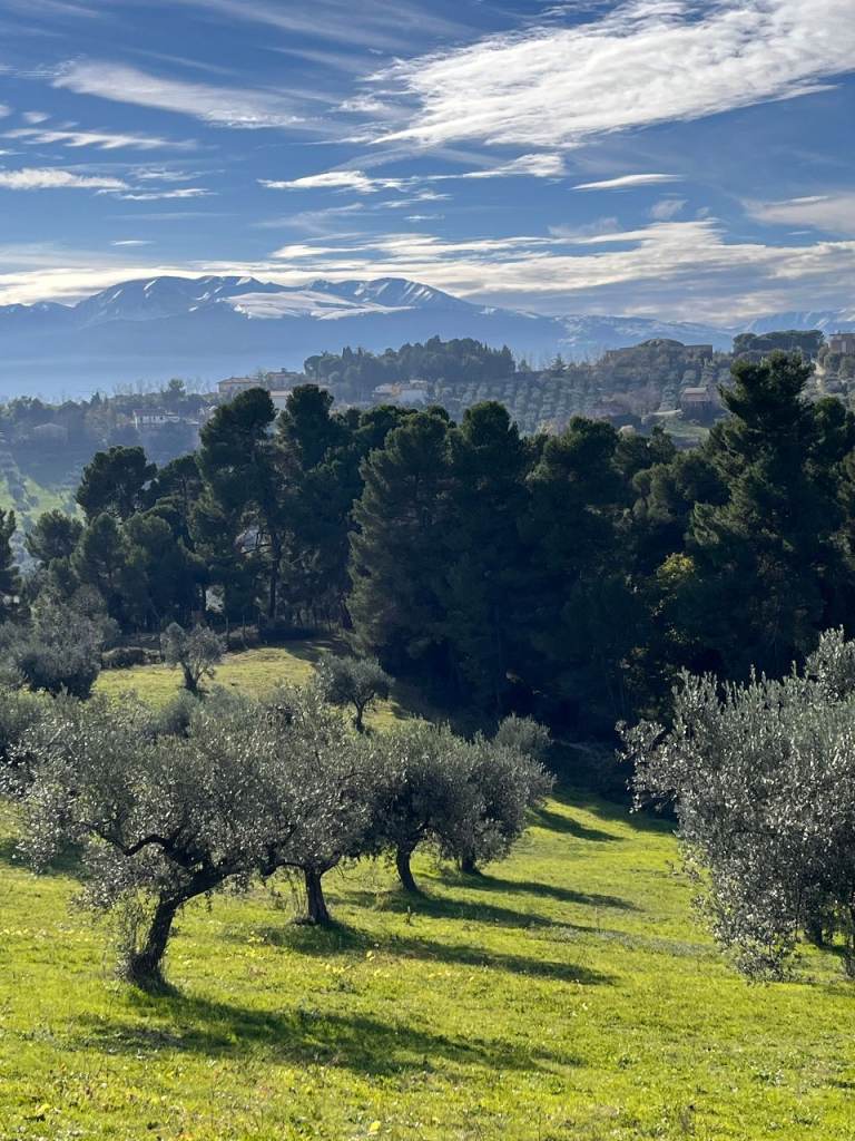 Panoramic land for sale with a building permit in Italy, Chieti (Abruzzo)