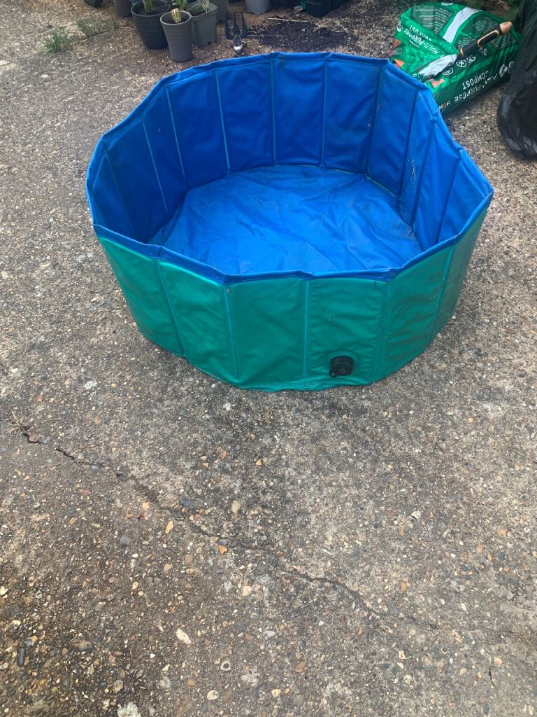 Dog paddling pool