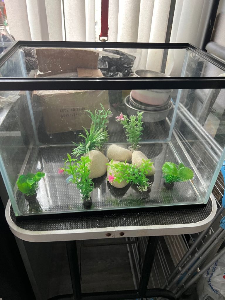 New fish tank 