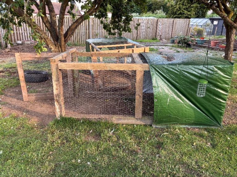 Chicken run and small animal houses