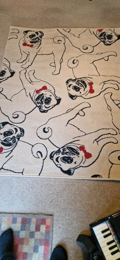 PUG RUG BY FLAIR RUGS. VERY GOOD CONDITION.