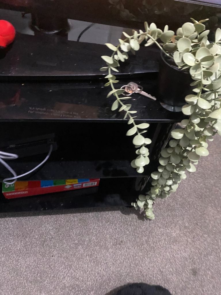 TV stand