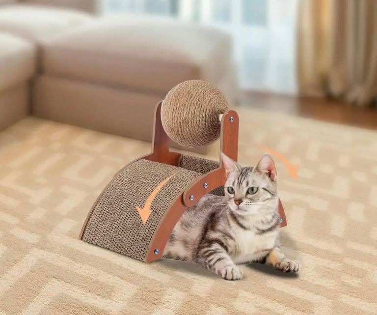 cat scratcher cat toy