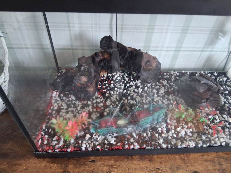 Fish tank