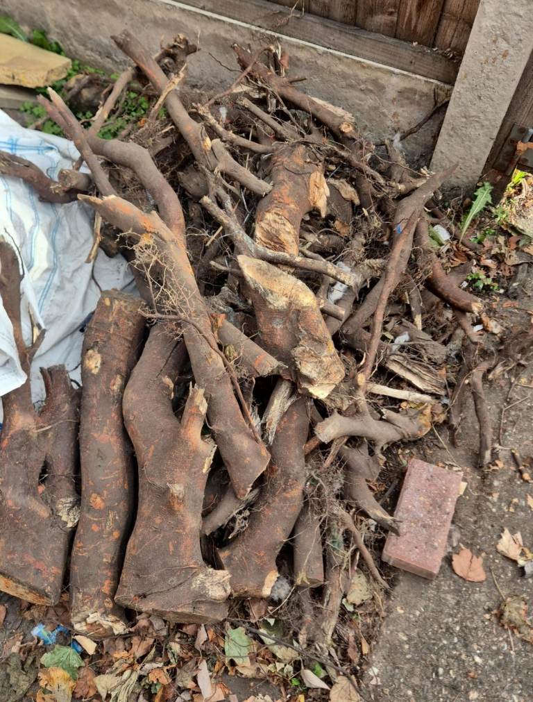 Mixed Wood Logs and Firewood or Garden Decor Free