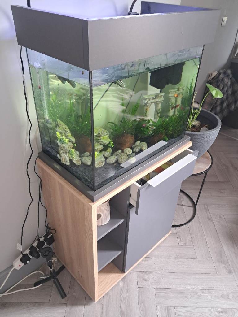 Aqua one fish tank setup