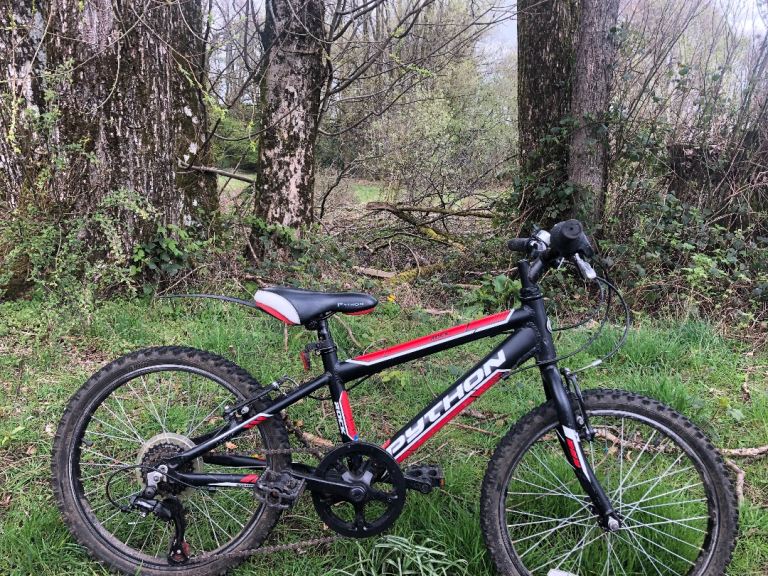 Kids Python Rock Mountain Bike 