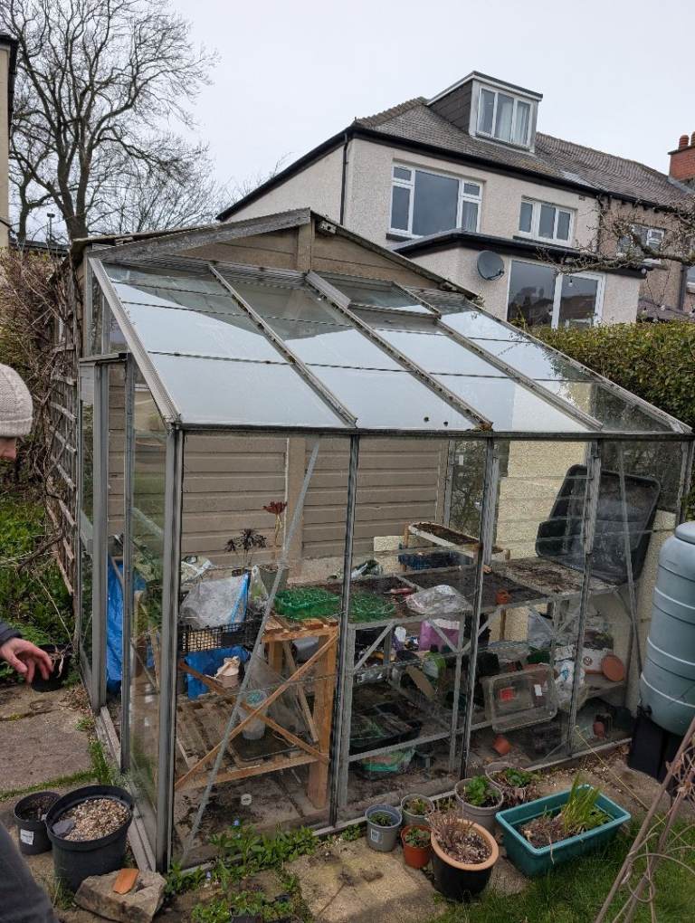 Lean-to greenhouse, 6 x 8ft