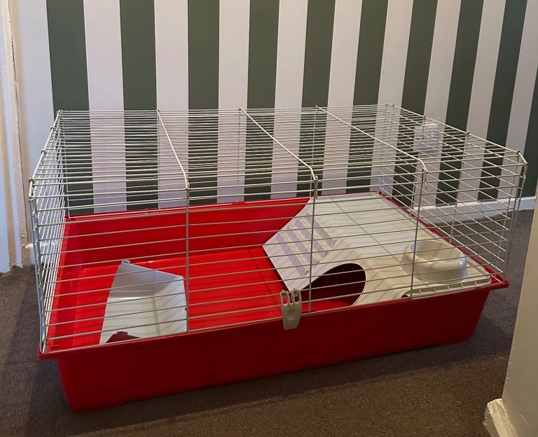Guinea pig temporary cage 