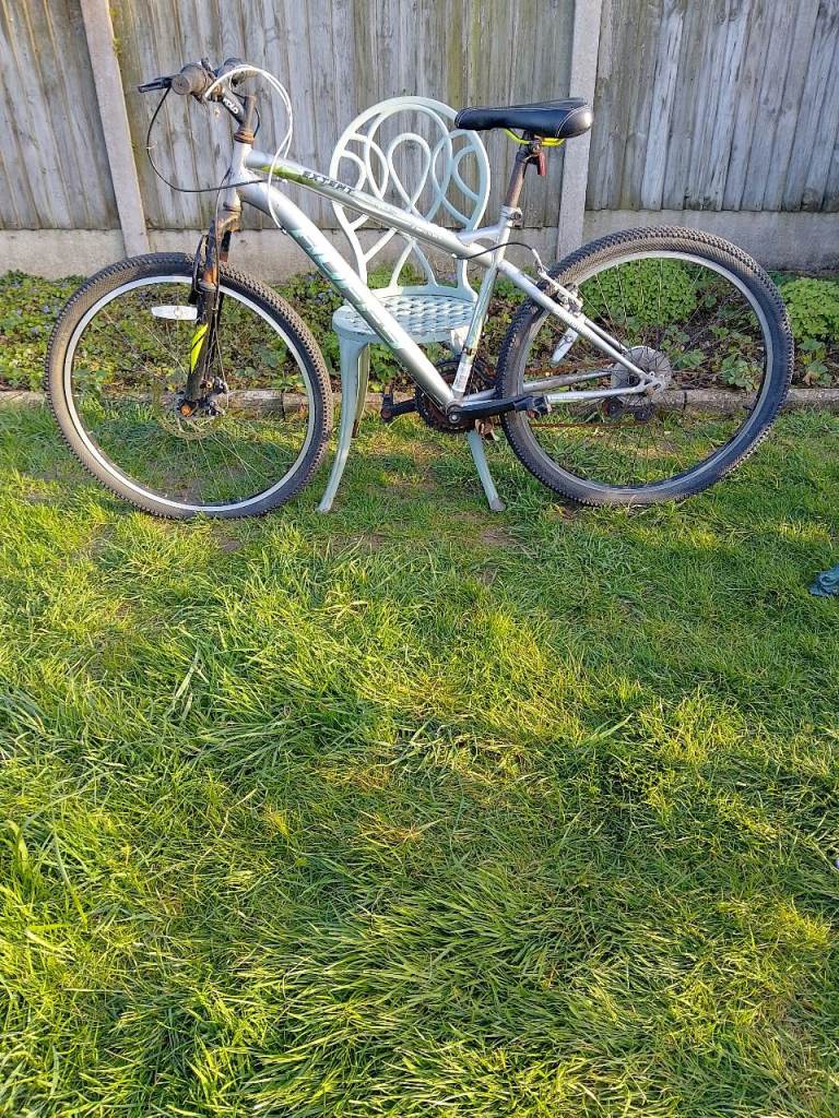 Fluffy Branded Green Adults bike - used condition.