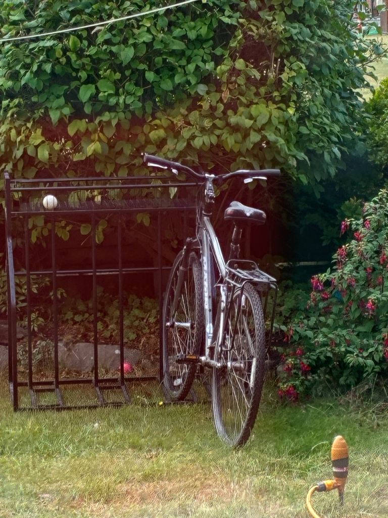 Man’s bike and 3 bike stand