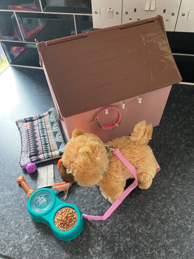 Our generation dog and kennel