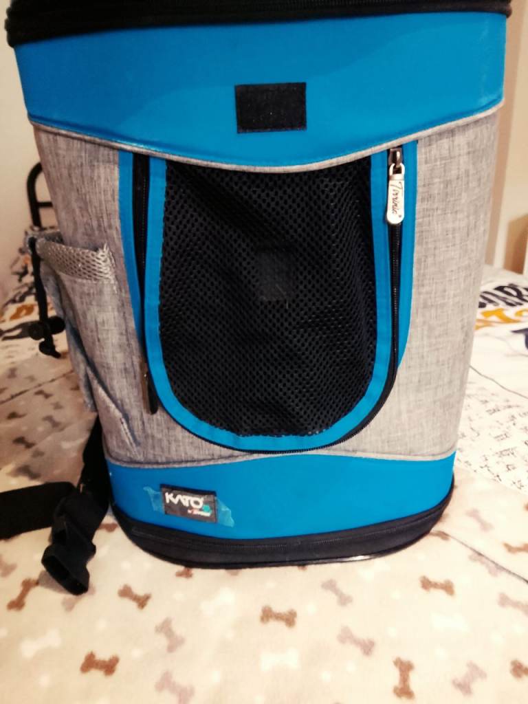 Cat backpack for sale 😻