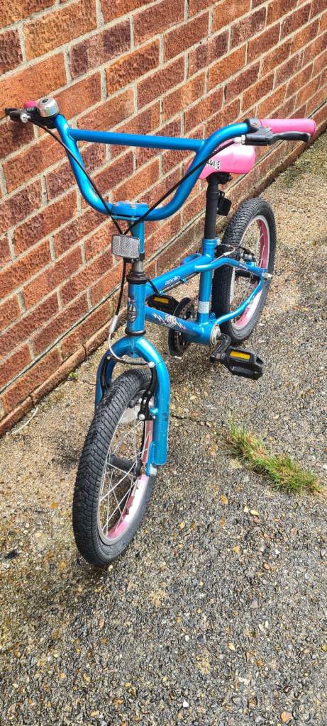 Kids Apollo Roxy bike