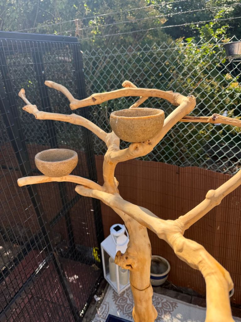 Parrot stand 