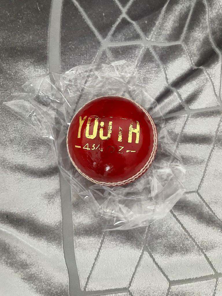 Junior cricket leather ball