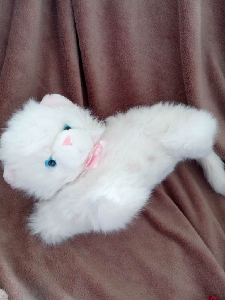Cat soft toy 