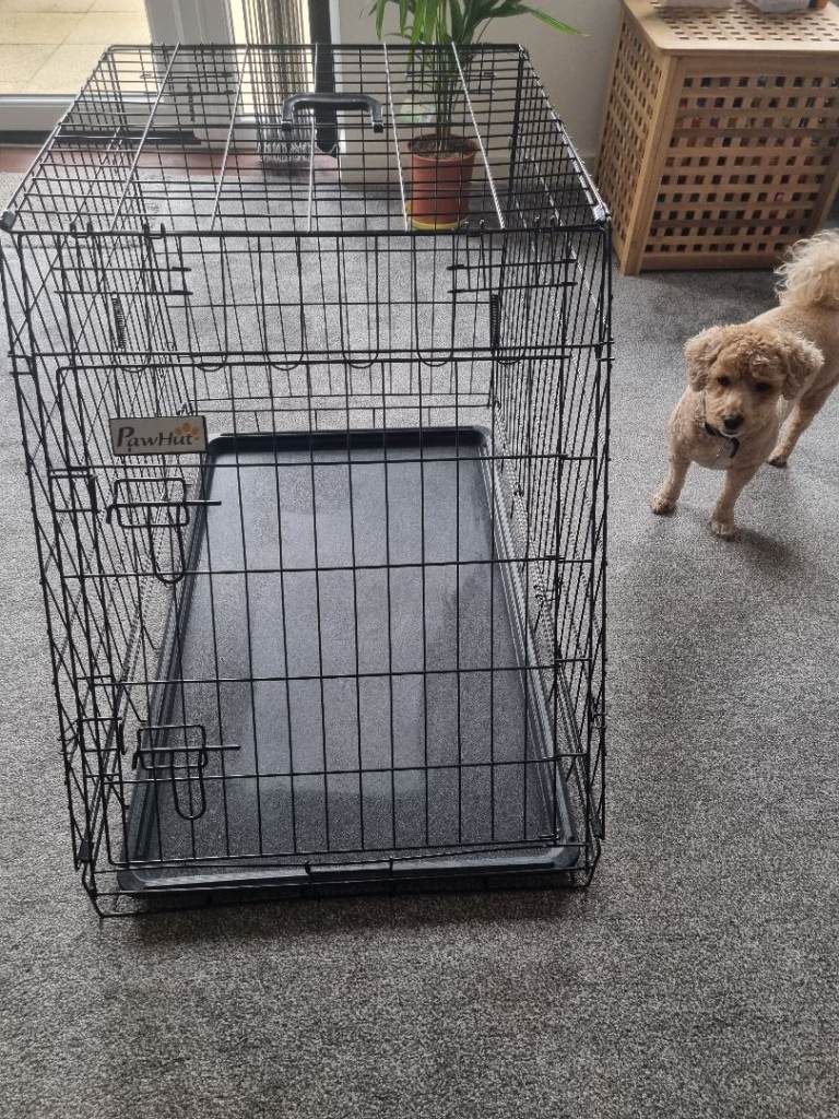 Large dog crate 