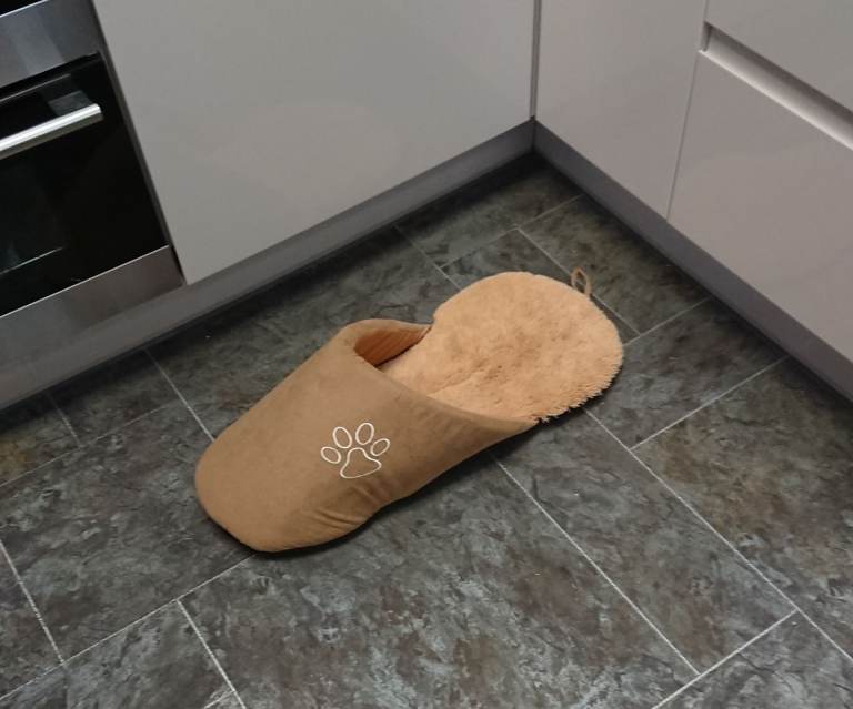 Slipper shape cat /small dog bed 
