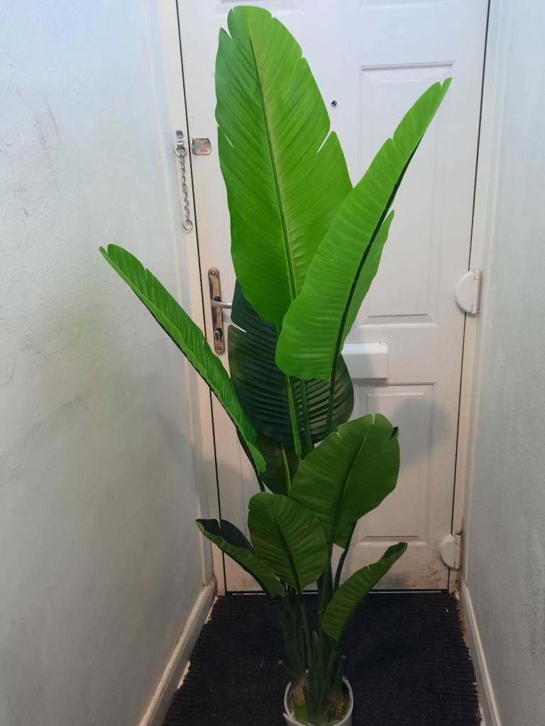 Brand new 160 cm artificial Bird of paradise plant 