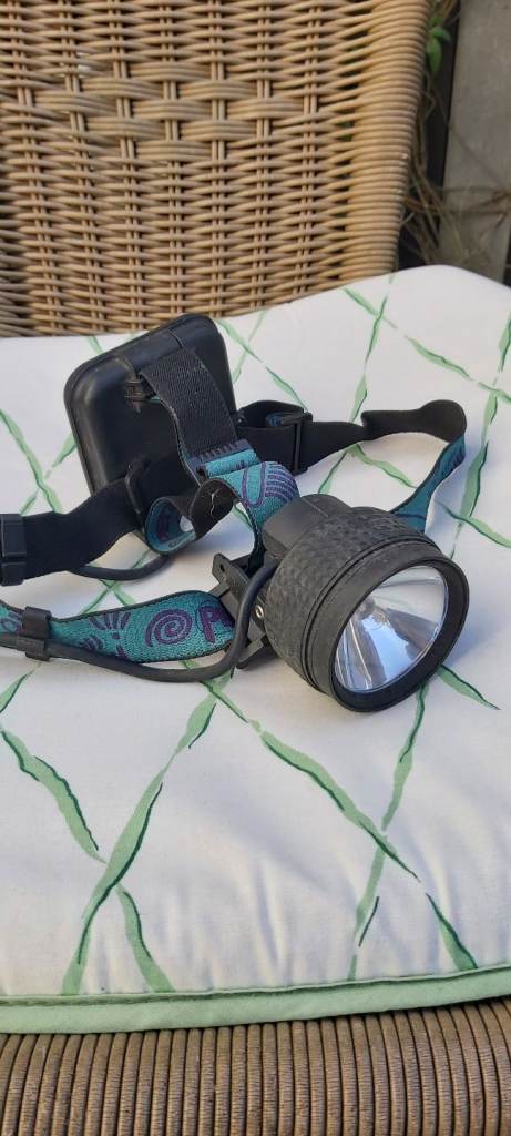 Petzl head torch 