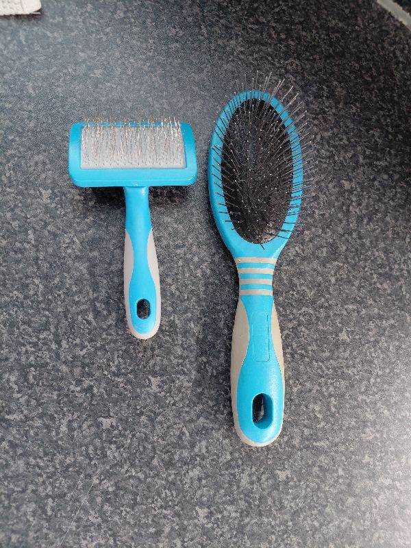 Puppy brushes, collars, harness, leads and coats.