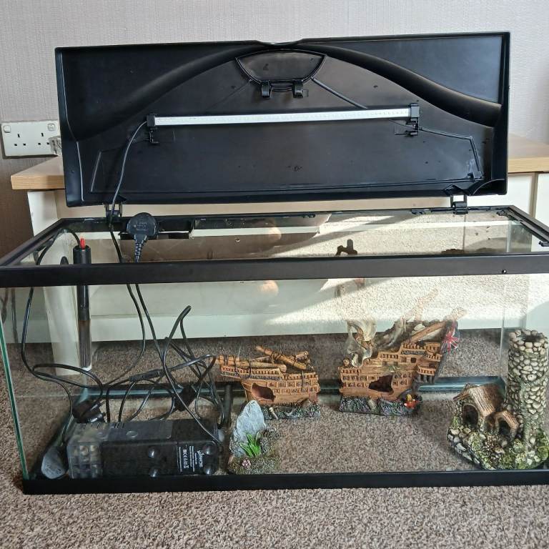 Fish tank set up 